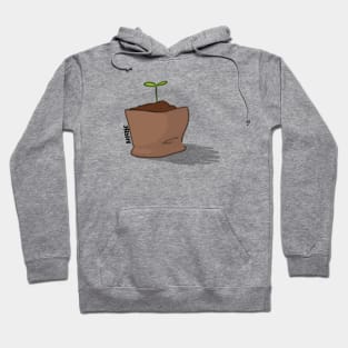 Lil Sprout Hoodie